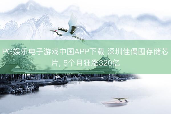 PG娱乐电子游戏中国APP下载 深圳佳偶囤存储芯片， 5个月狂涨320亿