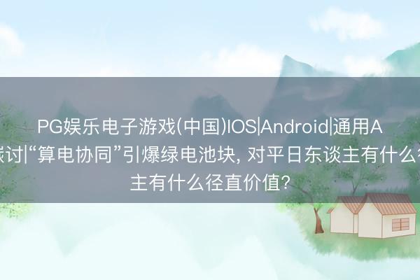 PG娱乐电子游戏(中国)IOS|Android|通用APP下载 碳讨|“算电协同”引爆绿电池块， 对平日东谈主有什么径直价值?