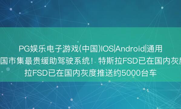 PG娱乐电子游戏(中国)IOS|Android|通用APP下载 6.4万 中国市集最贵缓助驾驶系统！特斯拉FSD已在国内灰度推送约5000台车