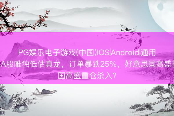 PG娱乐电子游戏(中国)IOS|Android|通用APP下载 A股唯独低估真龙，订单暴跌25%，好意思国高盛重仓杀入？
