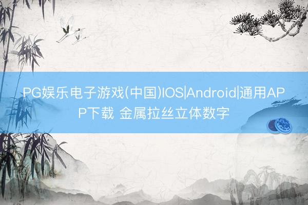 PG娱乐电子游戏(中国)IOS|Android|通用APP下载 金属拉丝立体数字