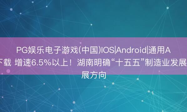 PG娱乐电子游戏(中国)IOS|Android|通用APP下载 增速6.5%以上！湖南明确“十五五”制造业发展方向