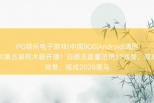 PG娱乐电子游戏(中国)IOS|Android|通用APP下载 40集古装权术剧开播!白鹿丞磊董洁携12戏骨,或成2026黑马