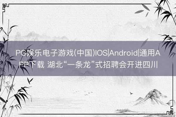 PG娱乐电子游戏(中国)IOS|Android|通用APP下载 湖北“一条龙”式招聘会开进四川