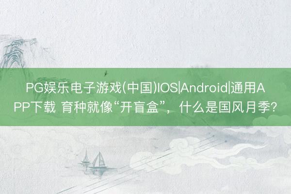 PG娱乐电子游戏(中国)IOS|Android|通用APP下载 育种就像“开盲盒”，什么是国风月季？