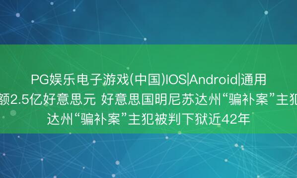 PG娱乐电子游戏(中国)IOS|Android|通用APP下载 涉案金额2.5亿好意思元 好意思国明尼苏达州“骗补案”主犯被判下狱近42年