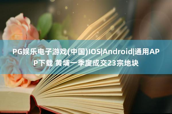 PG娱乐电子游戏(中国)IOS|Android|通用APP下载 黄埔一季度成交23宗地块