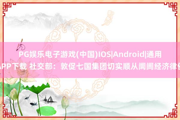 PG娱乐电子游戏(中国)IOS|Android|通用APP下载 社交部:敦促七国集团切实顺从阛阓经济律例