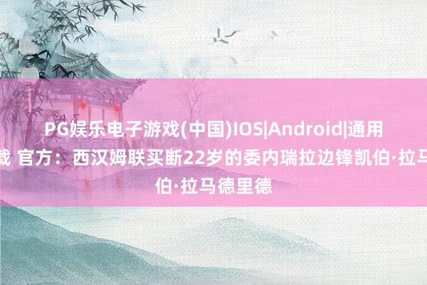 PG娱乐电子游戏(中国)IOS|Android|通用APP下载 官方:西汉姆联买断22岁的委内瑞拉边锋凯伯·拉马德里德